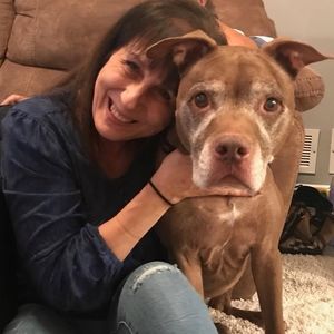 Meet your Posher, Shirley